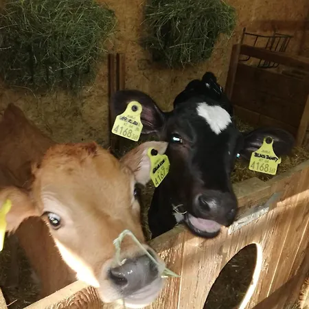 팜스테이 Nockhof *