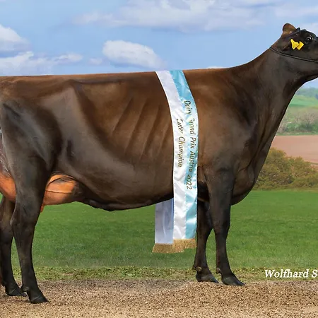 Nockhof בית חווה אינסברוק