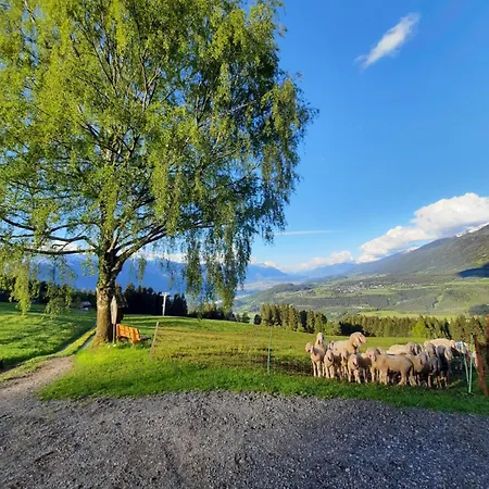 Farm stay Nockhof Innsbruck