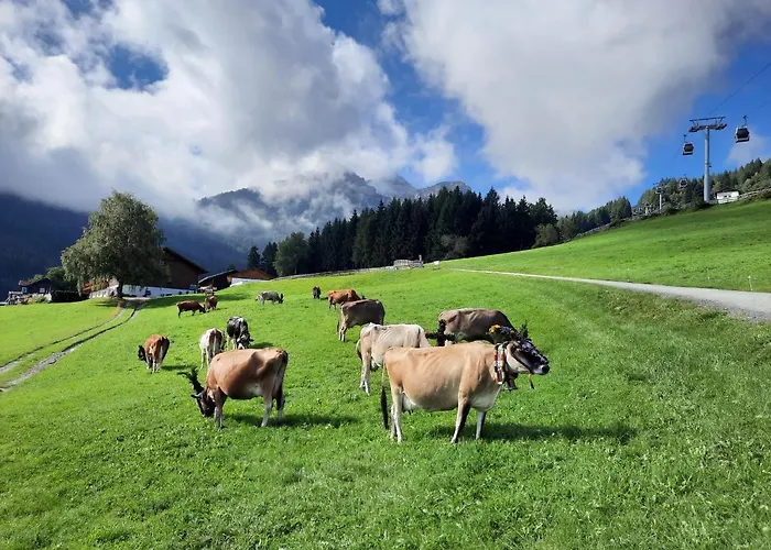 Vakantieboerderij Nockhof