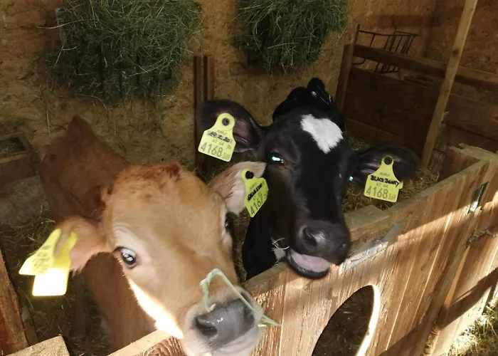 Vakantieboerderij Nockhof *